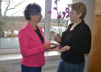 Stadt Eisenhüttenstadt