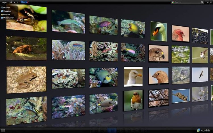 Wikipedia, Free Art License, Autor: Animal World