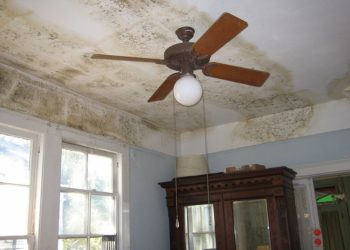 Wikipedia, GNU Lizenz