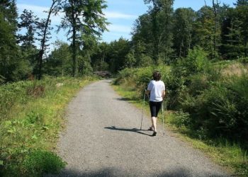 Wikipedia, Creative Commons Attribution-Share Alike 3.0 Unported