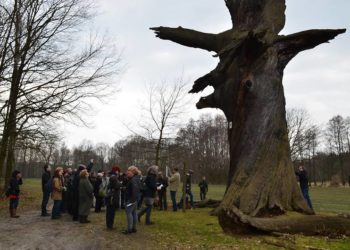 Stiftung Fürst-Pückler-Museum Park und Schloss Branitz