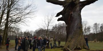 Stiftung Fürst-Pückler-Museum Park und Schloss Branitz