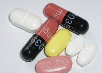 Wikipedia, GNU Lizenz