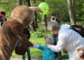 khb_ostern2014_011
