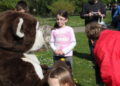 khb_ostern2014_043