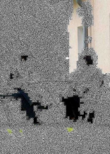 04 SiNo