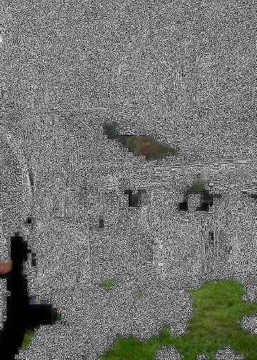11 SiNo