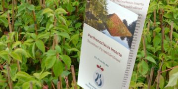 Stiftung Fürst-Pückler-Museum Park und Schloss Branitz 2014