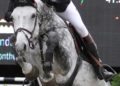 Forst_Reiten_006