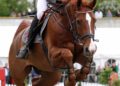 Forst_Reiten_007