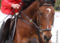 Forst_Reiten_008