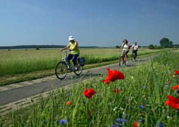 Tourismusverband Elbe-Elster-Land e.V.