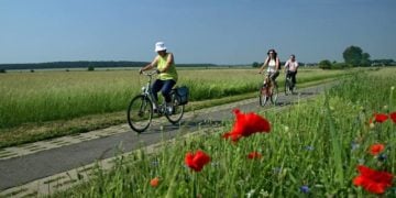 Tourismusverband Elbe-Elster-Land e.V.