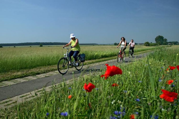 Tourismusverband Elbe-Elster-Land e.V.