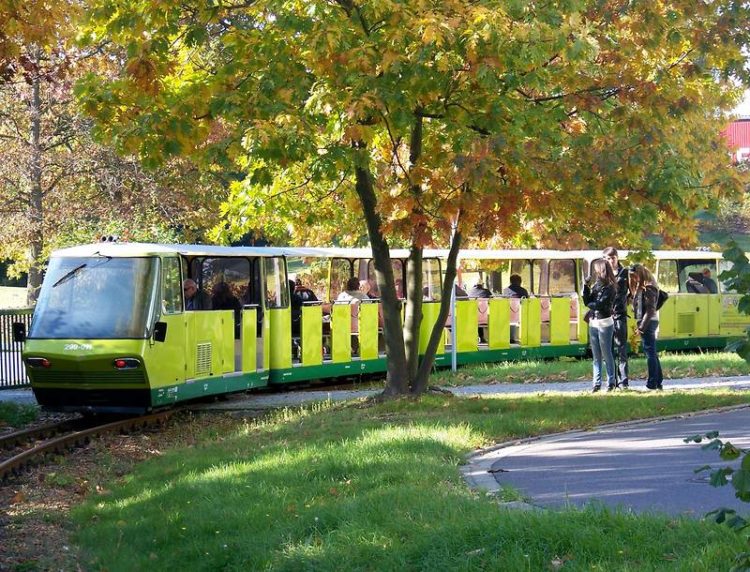 Cottbusverkehr