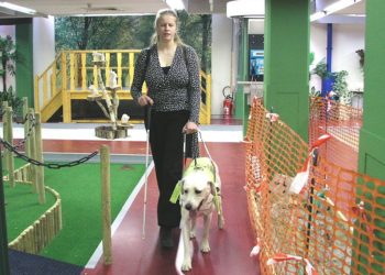 Wikipedia, Creative Commons Attribution-Share Alike 3.0 Netherlands