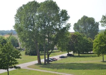 Foto: Stadt Eisenhüttenstadt