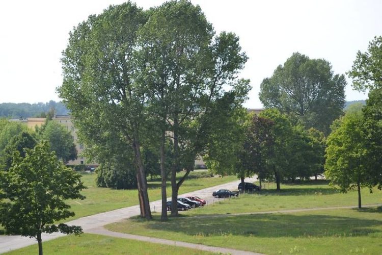 Foto: Stadt Eisenhüttenstadt