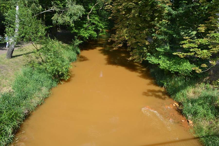 Die Spree in Spremberg