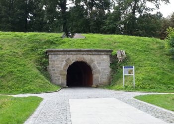 Foto: Sandra Mattner