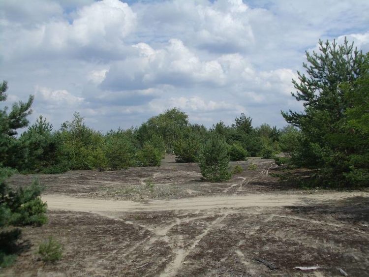 Wiki CC30 J.Rzadkowski