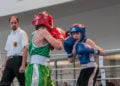 20160124_boxenautohausfoerster002