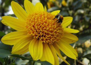 Foto: Sandra Mattner