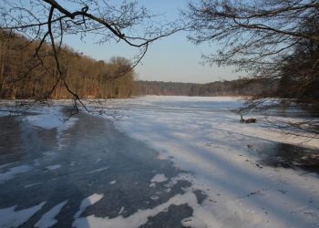 Pixabay CC0 gemeinfrei