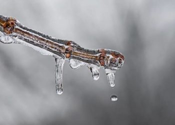 Pixabay CC0 gemeinfrei