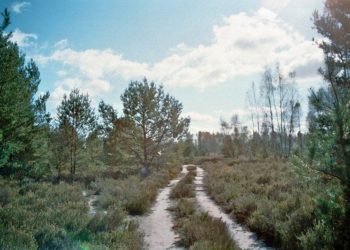 Wiki CC 3.0 J.-H. Janßen