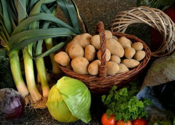 Pixabay CC0 gemeinfrei