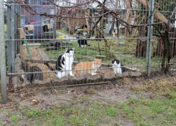 Foto: arvato direct services Cottbus GmbH