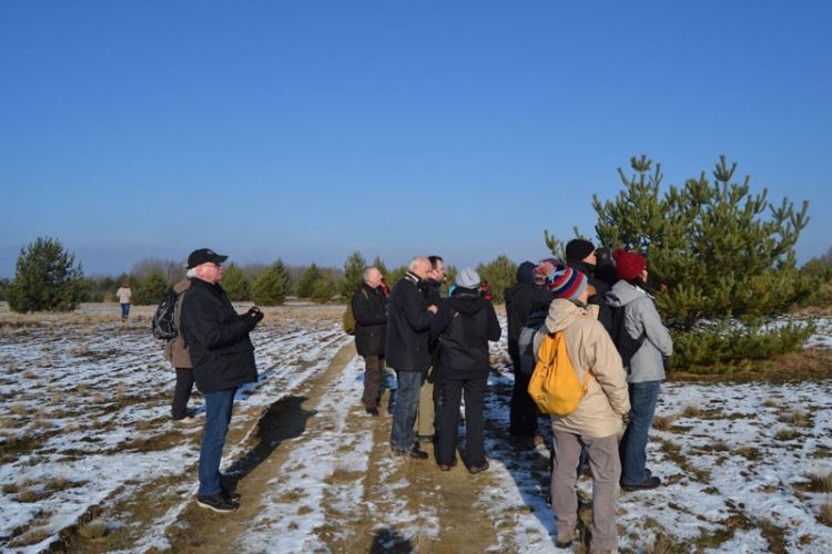 Foto: Stiftung Naturlandschaften Brandenburg