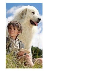 Bildquelle: Stadt Guben