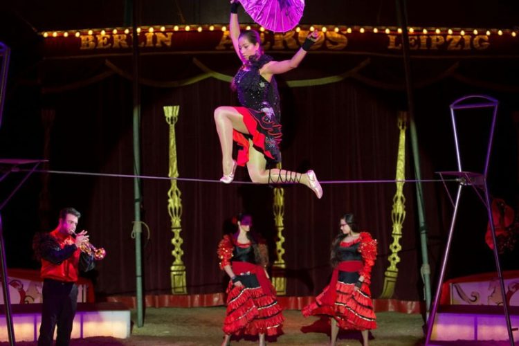 Foto: Zirkus AEROS