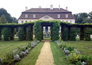 Foto: Sandra Mattner