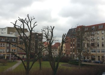 Foto: Sandra Mattner