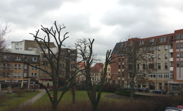 Foto: Sandra Mattner