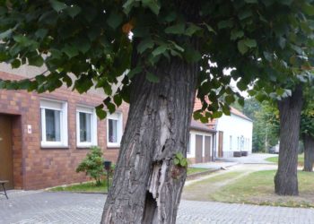 Foto: Roland Subatzus