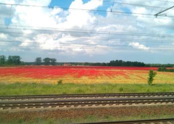 Foto: Sandra Mattner