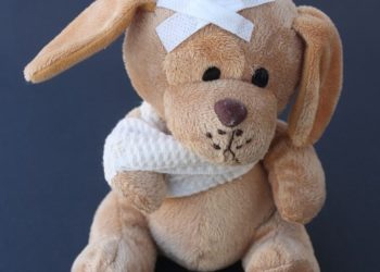 Pixabay CC0 gemeinfrei