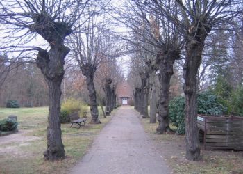 Wiki CC3.0 Tourist Cottbus