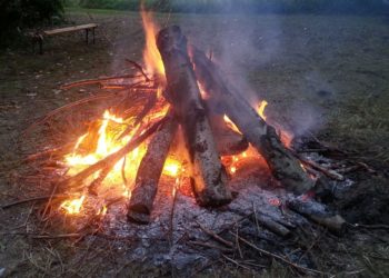 Foto: Sandra Mattner