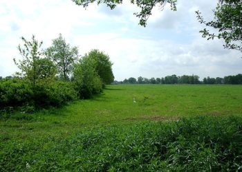 Wiki CC3.0 Stefan Fussan