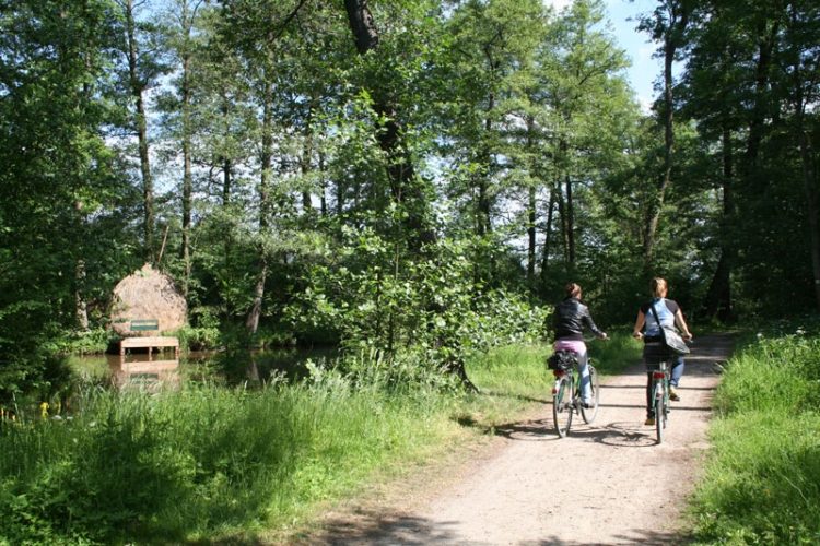 Foto: www.spreewald.de