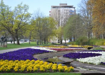Foto: Stadt Eisenhüttenstadt