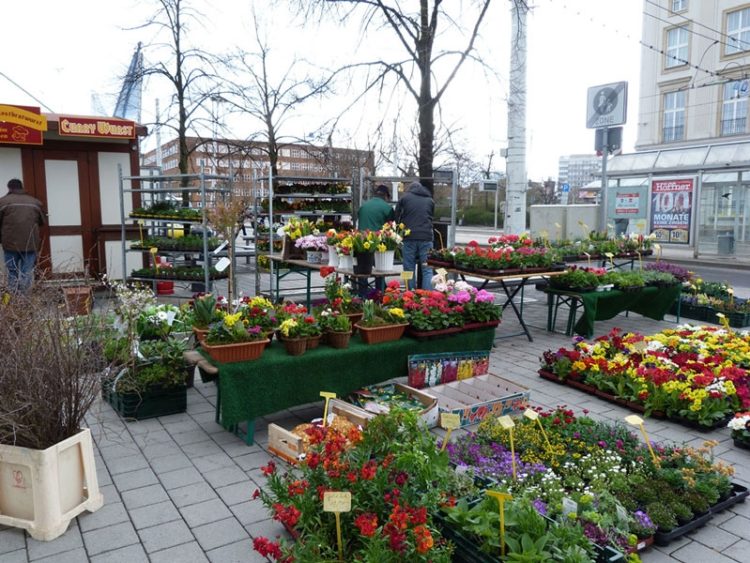 Foto: COEX