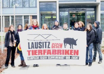 Foto: Tierfabriken Widerstand