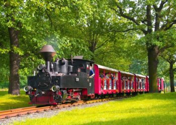 Foto: Cottbusverkehr