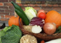 20151023_131342-Qualittssiegel-fr-Gastronomie-F-Tourismusverband-Niederlausitz-eV
